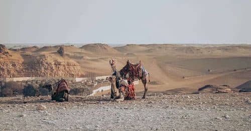 Tercera ola de calor llega a México: ¿qué estados serán los más afectados?