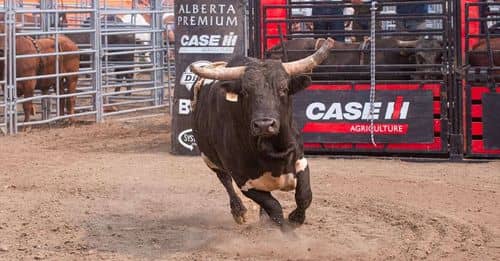 Vertiginoso cuarto encierro de San Fermín 2024: los toros de Fuente Ymbro prometen velocidad y emoción