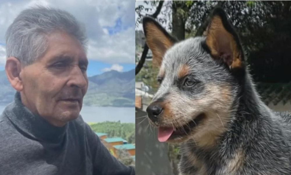 Vídeo: Buscan a conductor que atropelló a adulto mayor y a su perro, en Bogotá