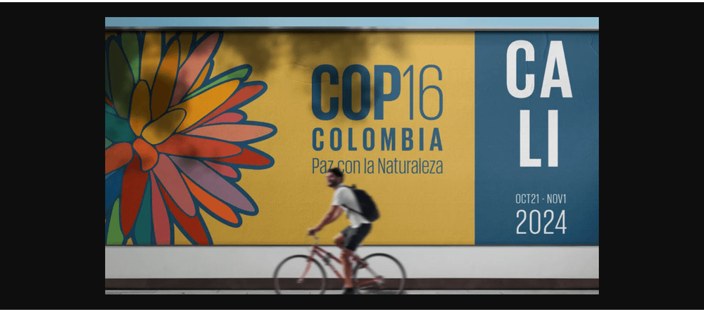 cop 16