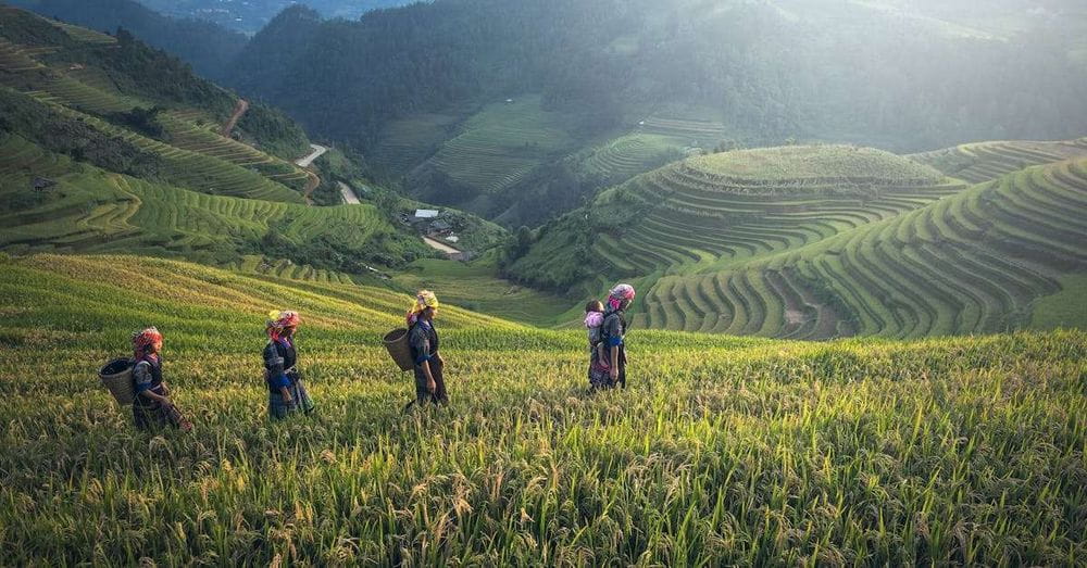 Acuerdo histórico beneficia a campesinos colombianos que protegen los bosques