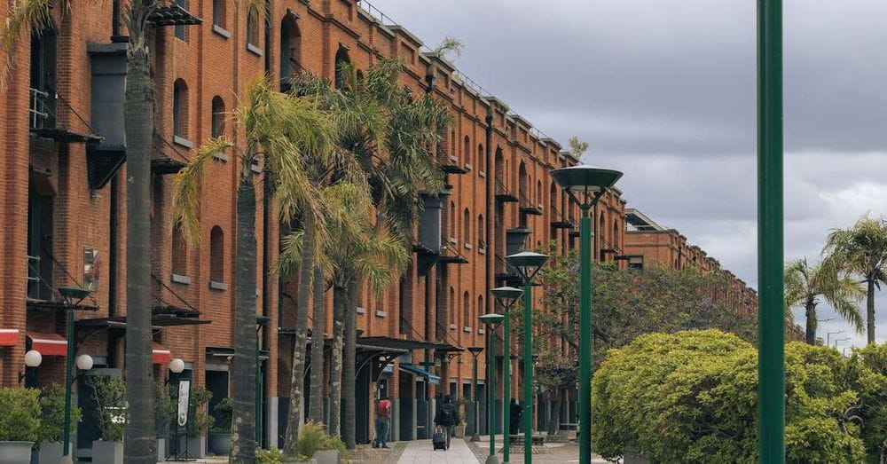 Adiós estacionamiento gratis: Puerto Madero se suma a los barrios con parquímetros