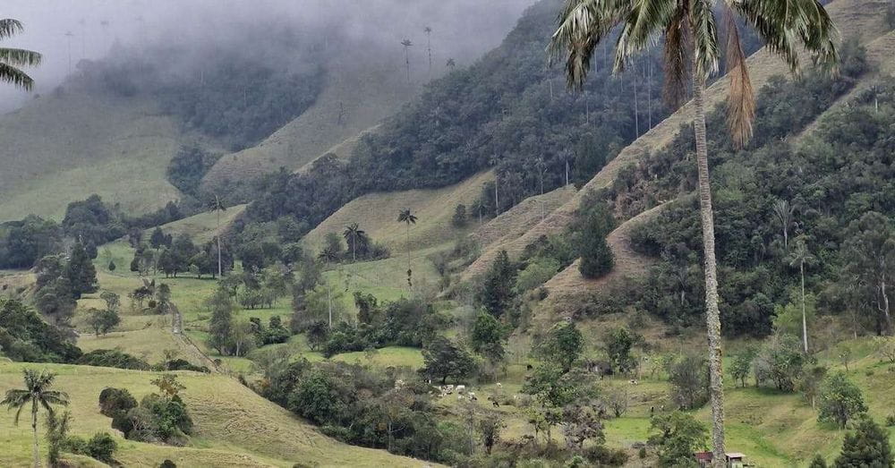 Atentado terrorista contra el Ejército: Atacan patrulla con explosivos en el Cauca