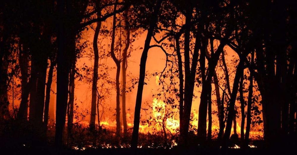 Castilla y León se enfrenta a una ola de calor con temperaturas de hasta 41 grados