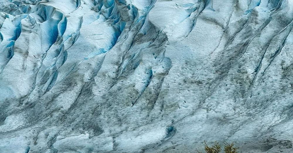 Celebramos el Día Mundial de la Lucha contra la Desertificación y la Sequía