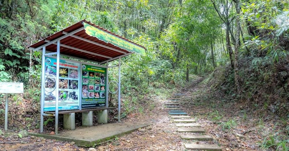 Centenar de animales rescatados del tráfico ilegal encuentran un nuevo hogar en la Reserva Yurumí