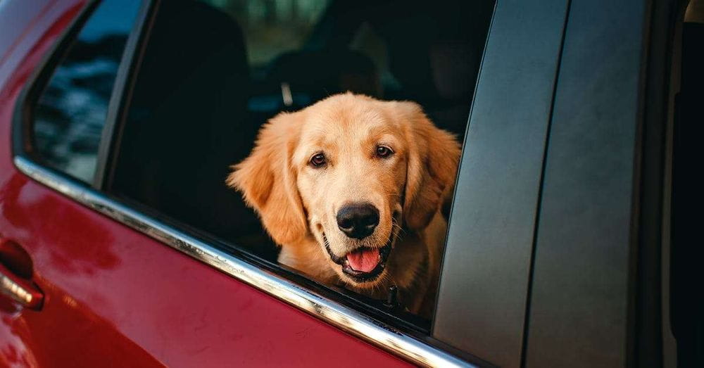 Choque entre tractomula y carro particular por esquivar un perro en la vía Medellín - Guarne