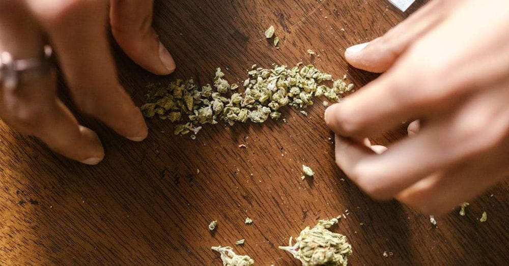 Colombia considera legalizar el cannabis para impulsar la economía y mejorar la seguridad