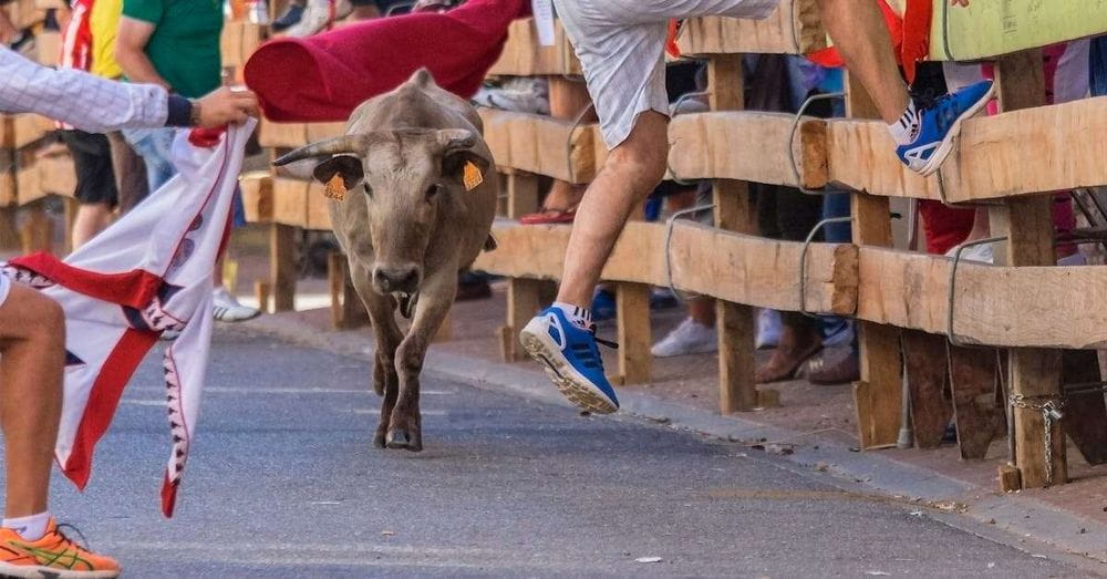 Colombia prohíbe las corridas de toros: un paso histórico contra la crueldad animal