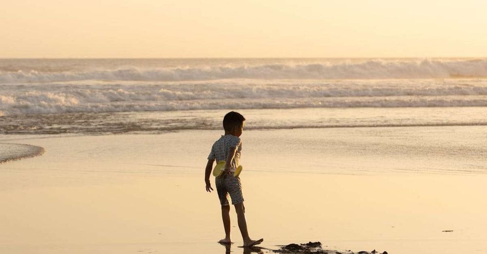 Consejos para alimentarse saludablemente en verano