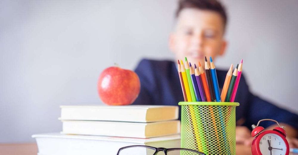 Dibujos de Paw Patrol para colorear de regreso a clases: ¡Diversión y aprendizaje para los pequeños!