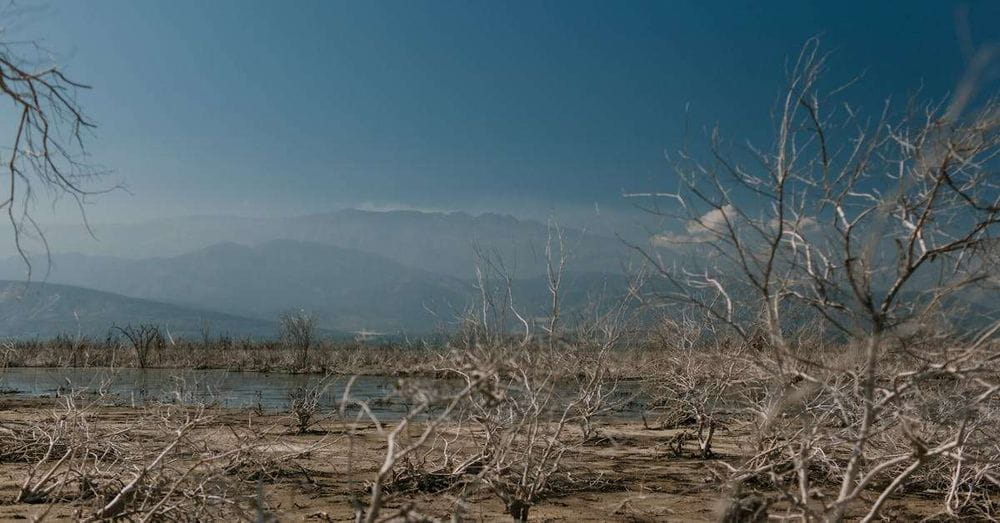 El calor extremo se cobra más de 1.170 vidas en España