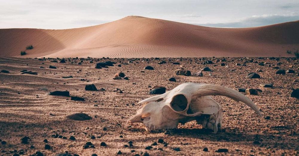 El calor extremo, un asesino en serie que no podemos detener