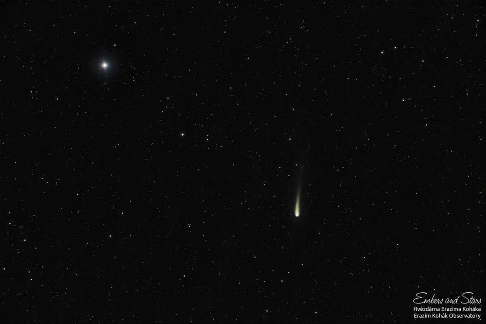 "El cometa del siglo": El C/2023 A3 ilumina los cielos con brillo deslumbrante