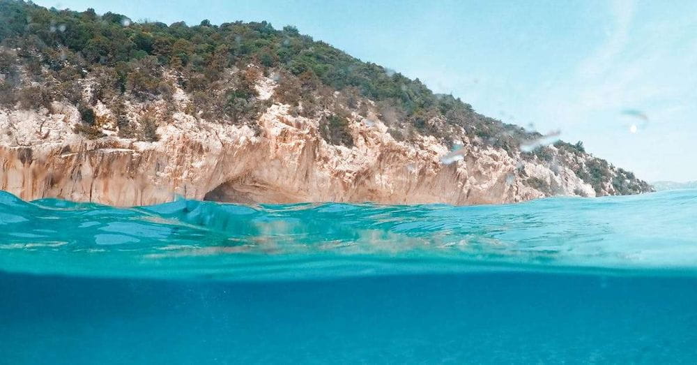 El Mediterráneo se convierte en un mar tropical con temperaturas récord de 30ºC