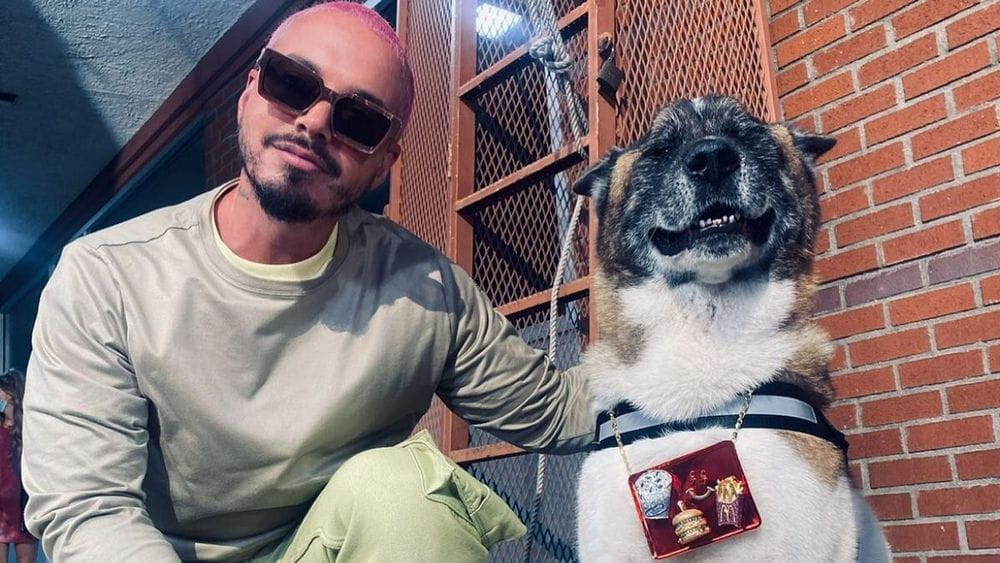 Muere Enzo, el perro de J Balvin y Valentina Ferrer: Así lo despidieron