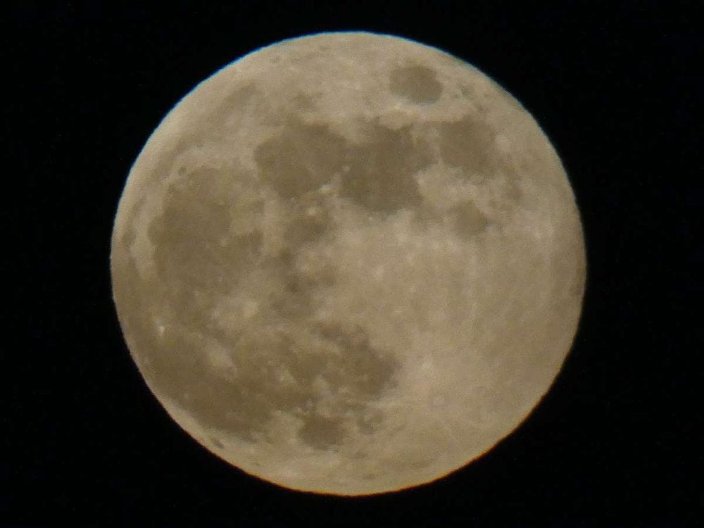 ¡La Luna de Fresa llega a México en junio de 2024!