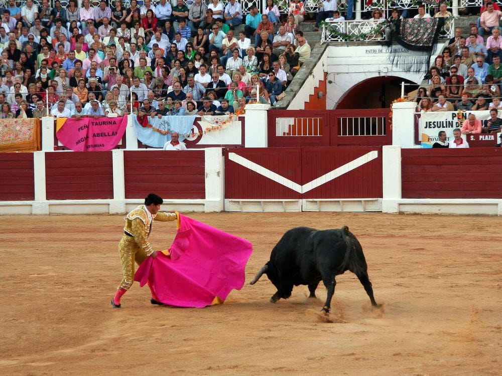 Las corridas de toros en Colombia: Un tema que divide opiniones