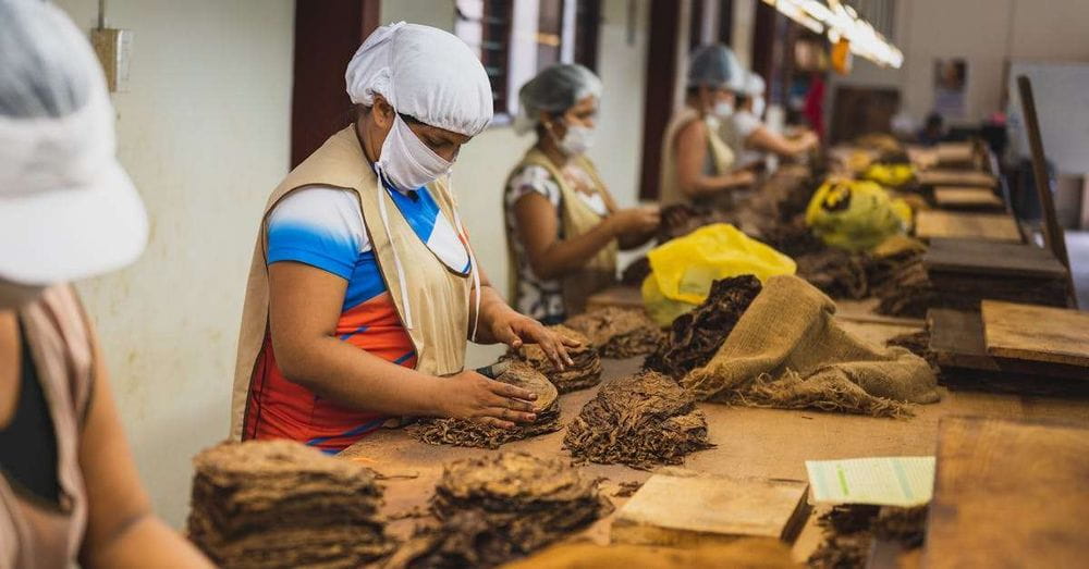 Las tabacaleras sortean las barreras y siguen creciendo