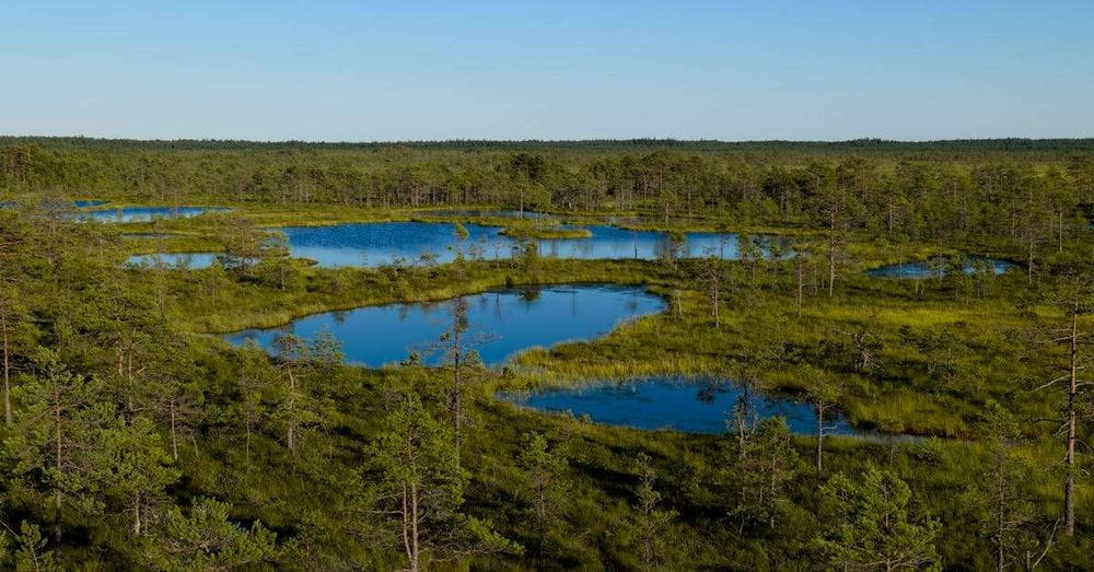 Los 13 pueblos de l'Albufera se unen para solicitar su declaración como Reserva de la Biosfera de la UNESCO