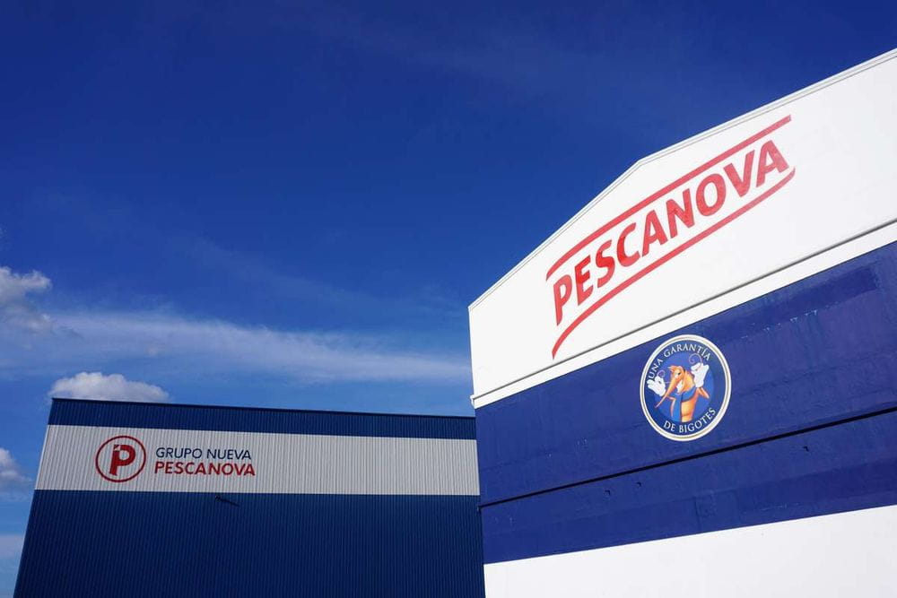 Pérdidas millonarias obligan a Nueva Pescanova a reducir y ampliar capital