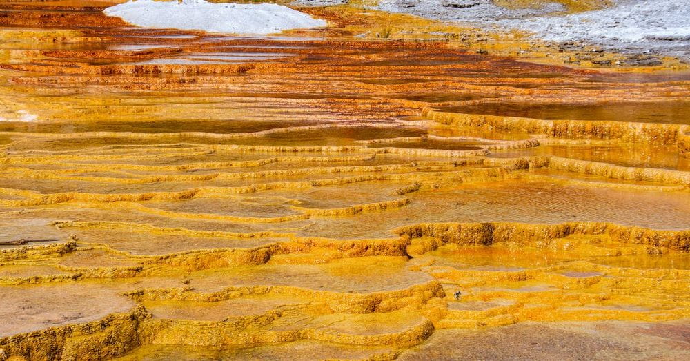 Yellow Stones in Yellowstone National Park