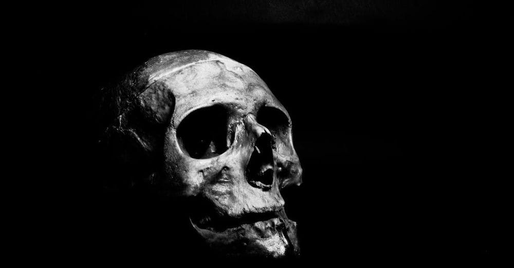 Grayscale Photography of Human Skull