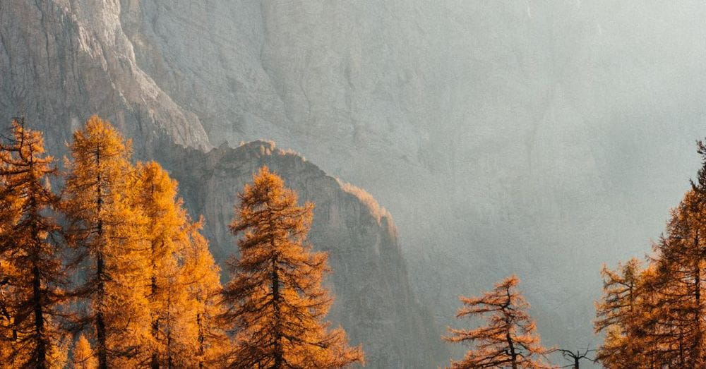 Autumn Landscape with Golden Trees at Julian Alps, Slovenia, Europe