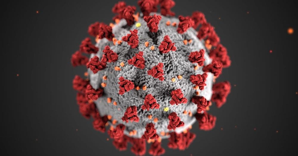 Structure of a Coronavirus