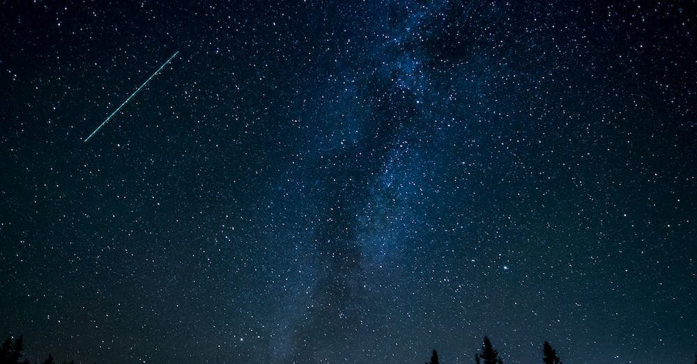 Silhouette of Trees during Nighttime