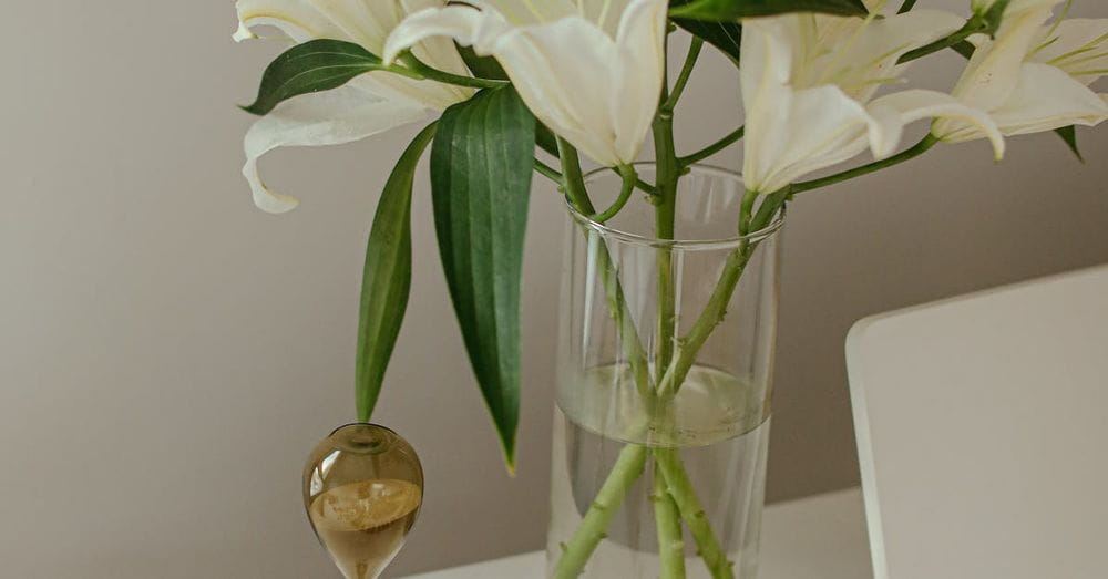 White Flowers in Clear Glass Vase