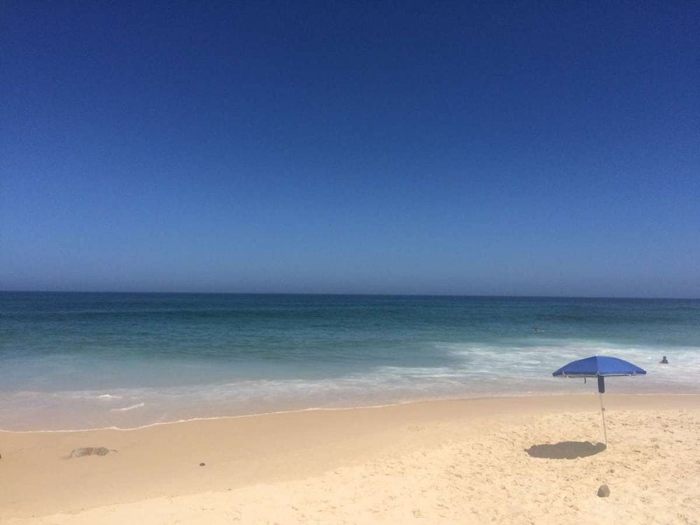 Plantillas para Colorear de Bluey: ¡Aventura en la Playa para Semana Santa!