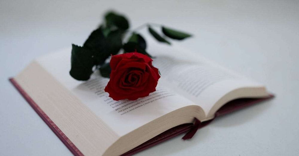 Sant Jordi 2024: Barcelona se prepara para una celebración llena de libros, rosas y amor