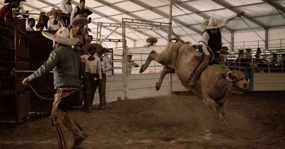 Un hombre fallece tras ser corneado por un toro en un encierro en Guadalajara