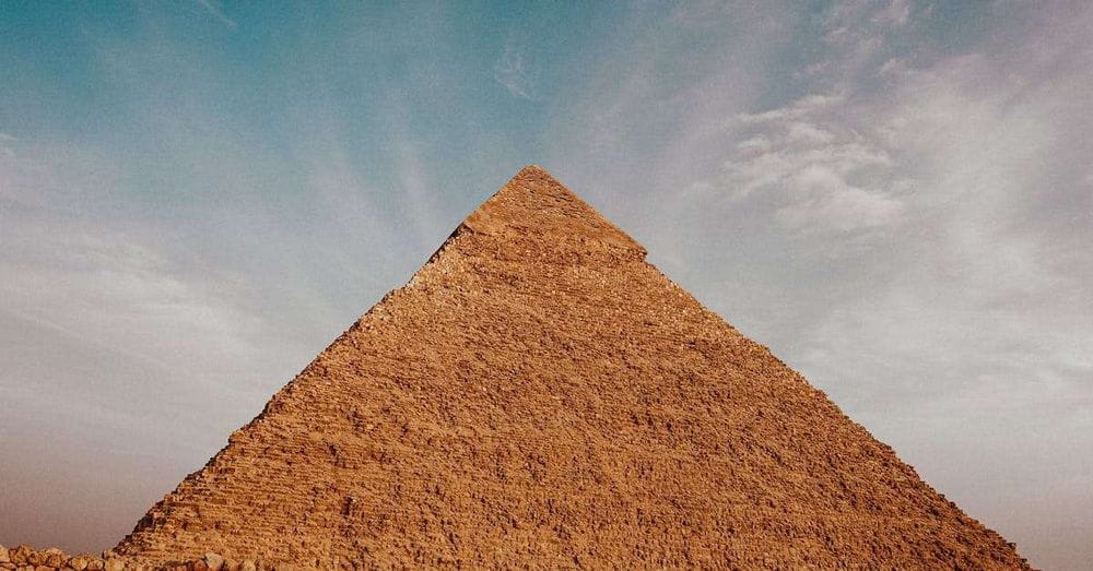 Un perro sorprende al mundo al escalar la Gran Pirámide de Giza