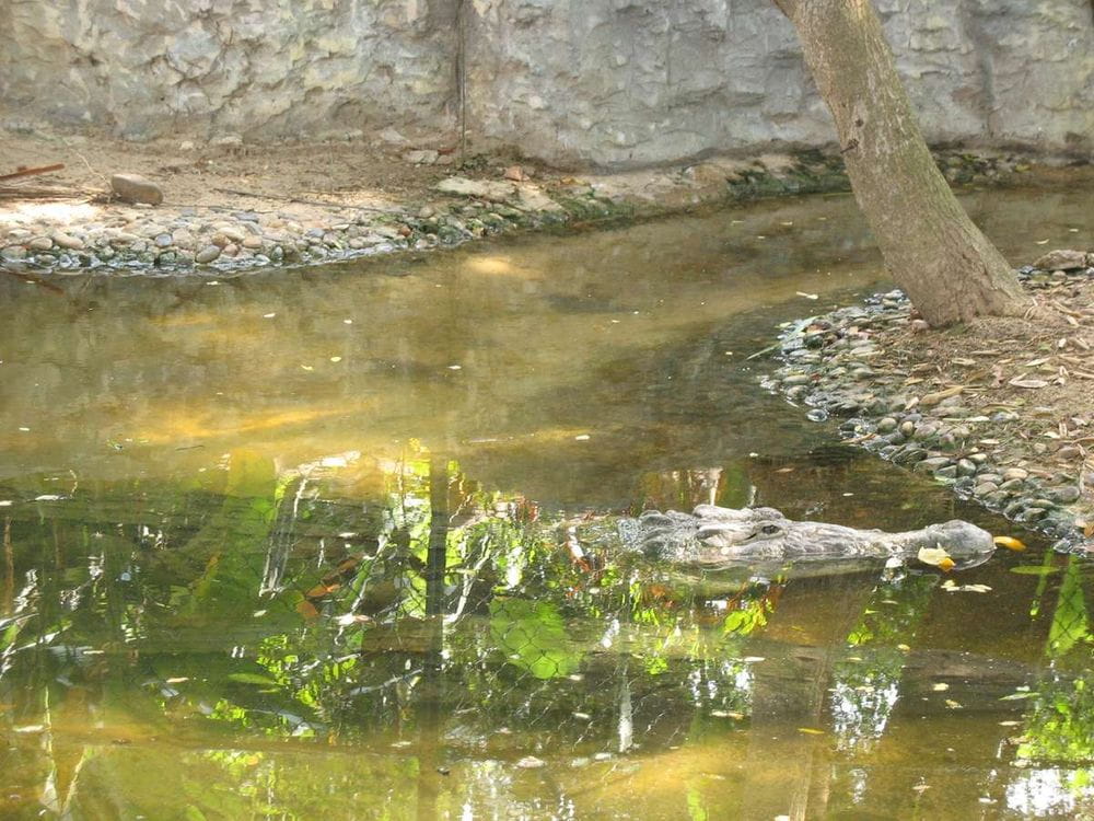 Violencia en Soledad y Barranquilla: Mujer asesinada y cuerpo hallado en el Caño de la Auyama