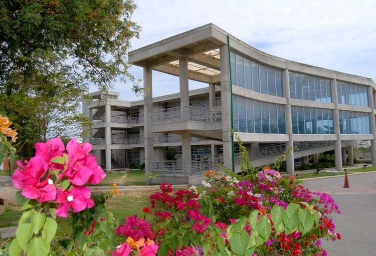 Universidad del Norte otorga 250 becas a estudiantes de bachillerato